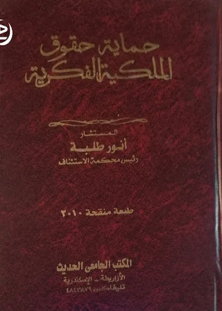 حماية حقوق الملكية الفكرية
